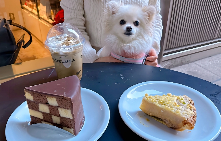 イチオシのケーキやタルトとゆめちゃん
