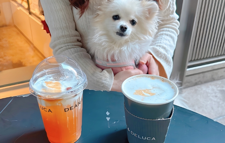 デザートドリンク各種とゆめちゃん