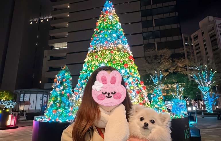 イルミネーションとゆめちゃん2