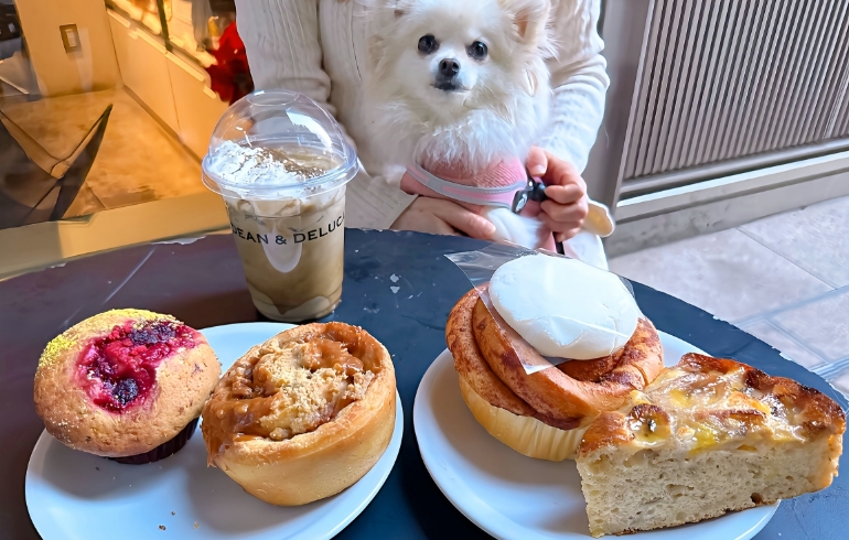 ベーカリー各種とゆめちゃん