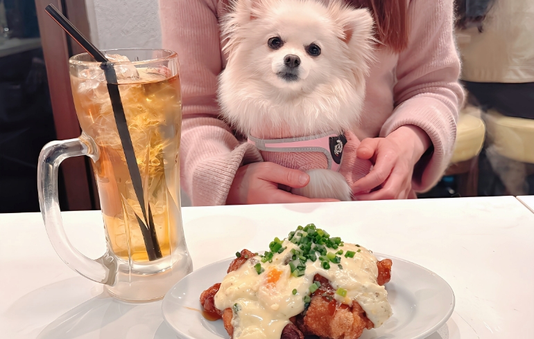 チキン南蛮とゆめちゃん