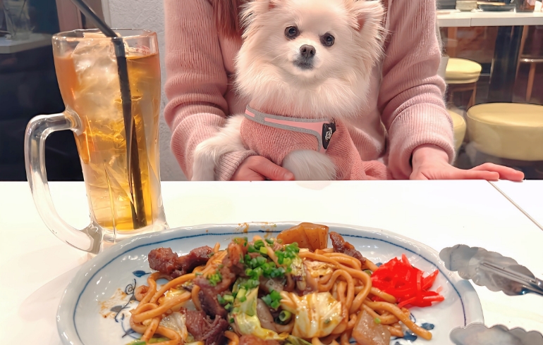 牛すじ黒焼そばとゆめちゃん