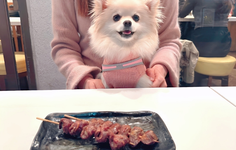 焼き鳥とゆめちゃん