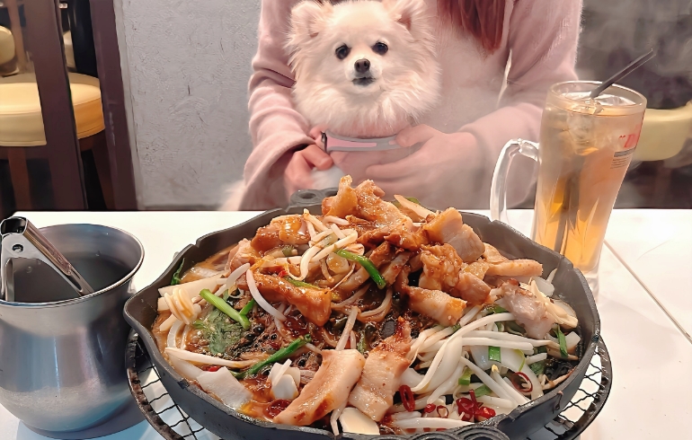 腹黒焼きとゆめちゃん