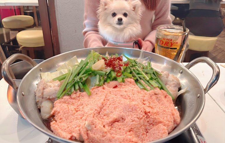 もつ鍋とゆめちゃん