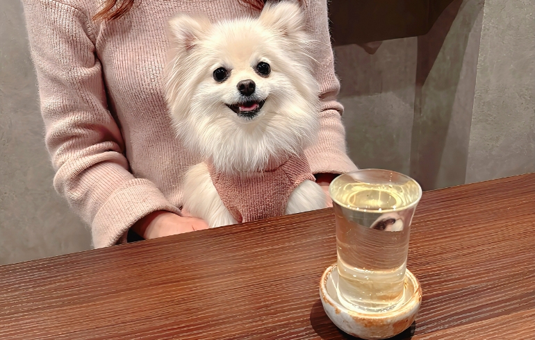 日本酒とゆめちゃん