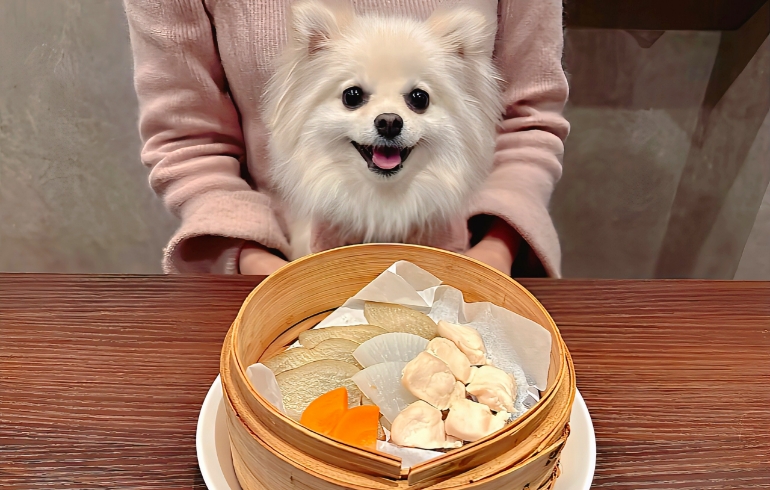 ワンちゃんごはんサービス