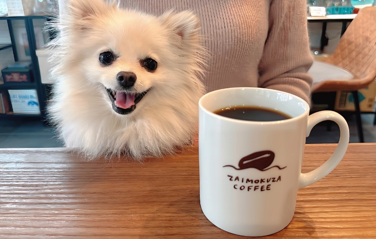 コーヒーとゆめちゃん
