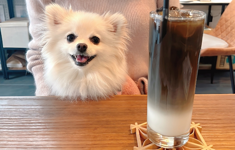 炭カフェオレとゆめちゃん