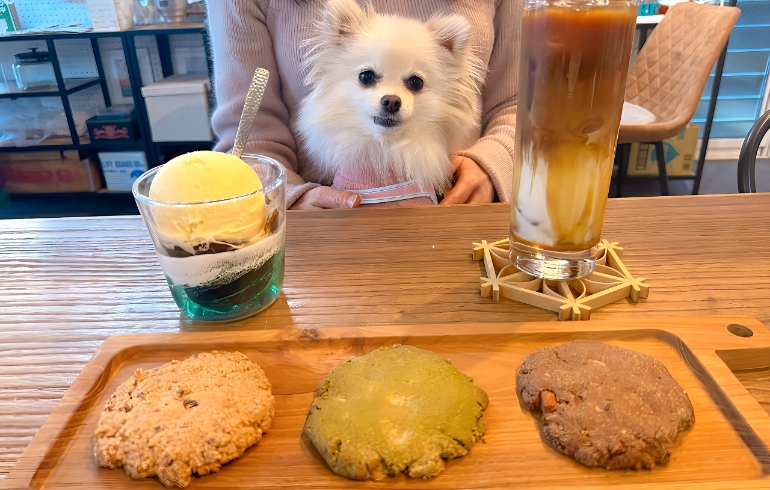 クッキー３種とゆめちゃん