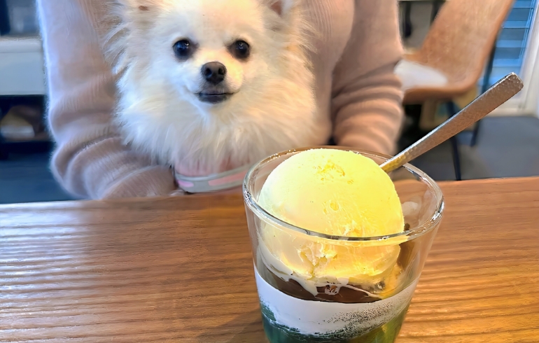 自家製コーヒーゼリーとゆめちゃん