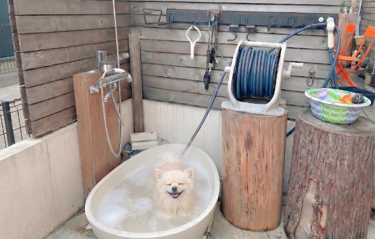 シャワー設備とゆめちゃん（入浴中）