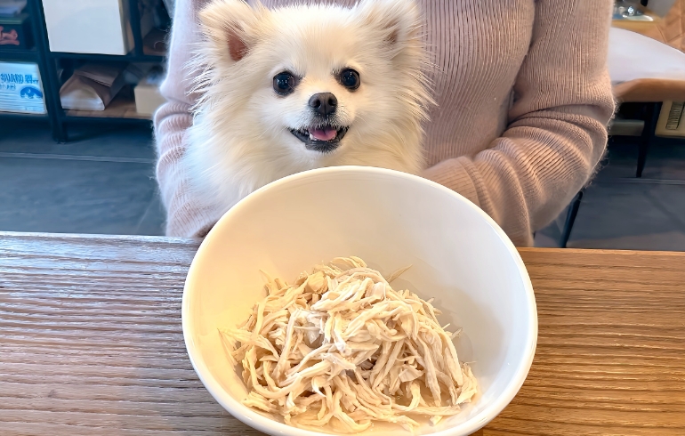ワンちゃん用のごはん（ボイルした​鶏むね肉）