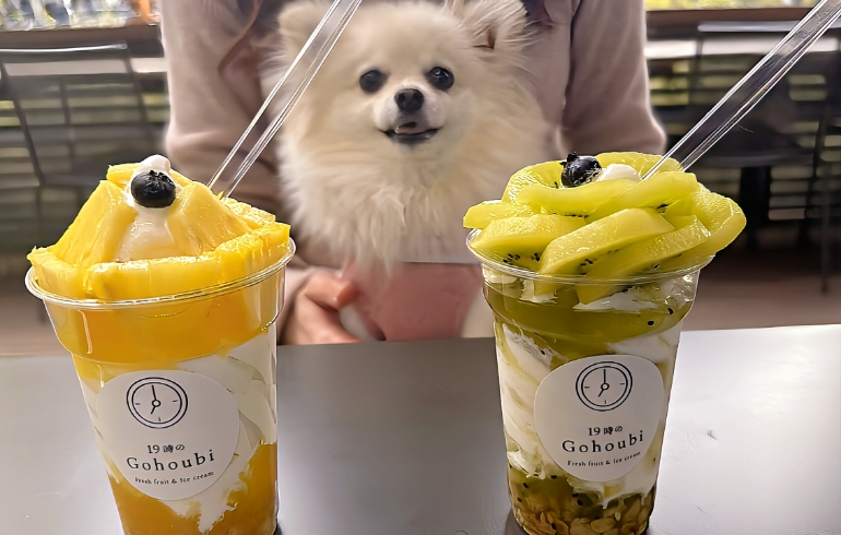 パフェ仕立ての華やかさ「ご褒美」スイーツ（キウイ・パイン）とゆめちゃん