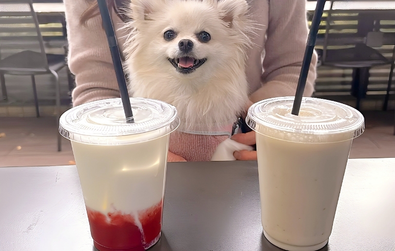 ドリンク各種とゆめちゃん