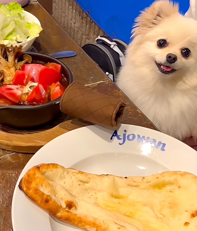 トマトチキンカレー