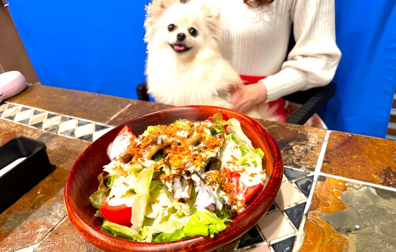 サイドメニュー1
