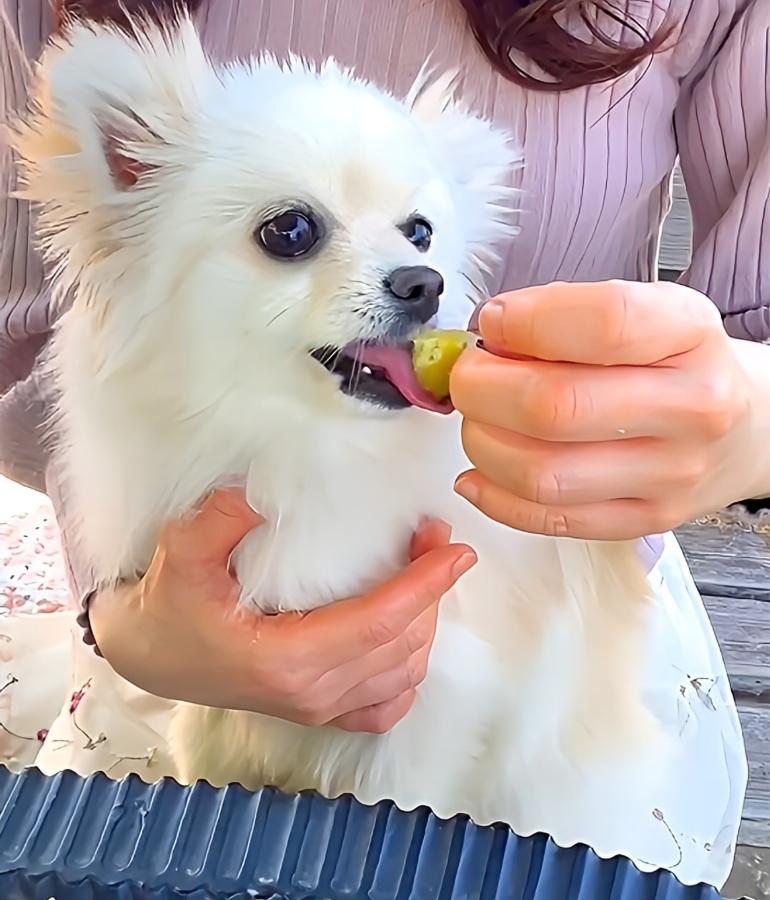 スイーツおすそ分け