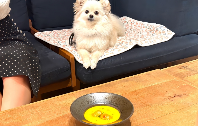 ゆめと季節のポタージュ