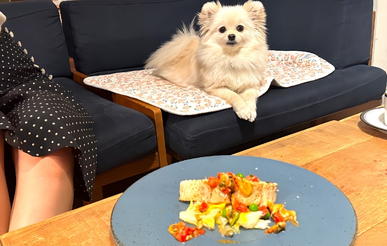 ゆめと魚料理