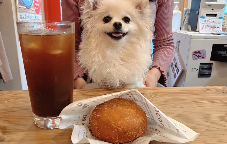 カレーパンとゆめちゃん