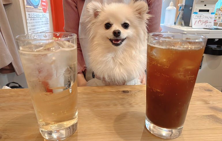 ドリンク各種とゆめちゃん