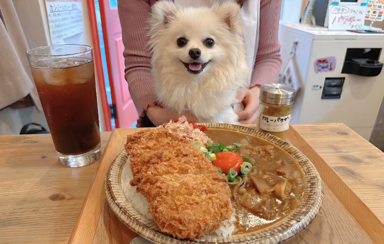 シン・おそば屋さんのだしカレーとゆめちゃん