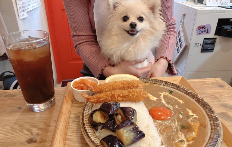 海老だしカレーとゆめちゃん