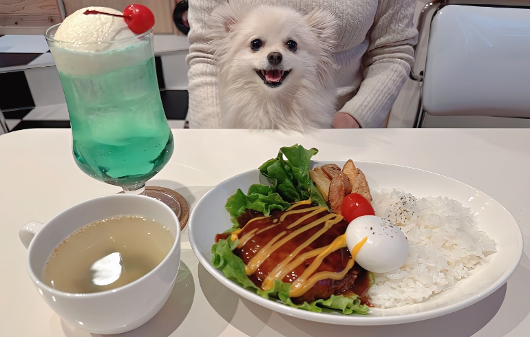 ロコモコ