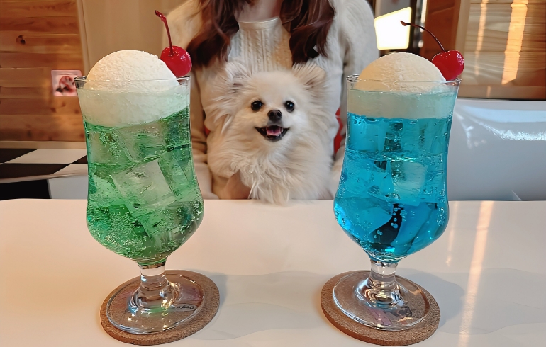 ドリンク各種とゆめちゃん（クリームソーダ）