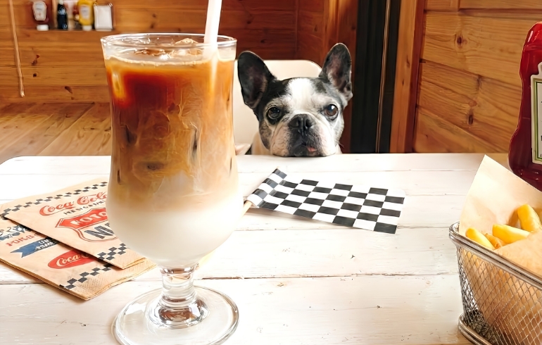 カフェラテと看板犬