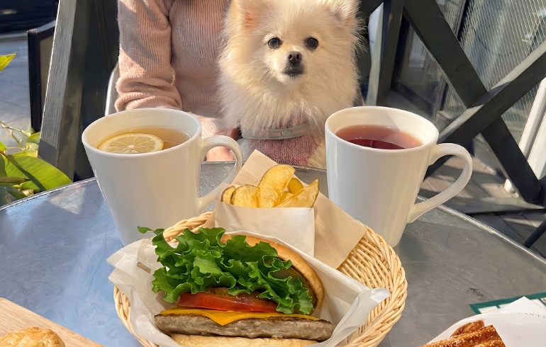 フレッシュネスバーガーとゆめちゃん
