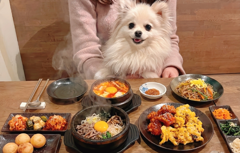 韓国料理屋ハニャン料理各種とゆめちゃん
