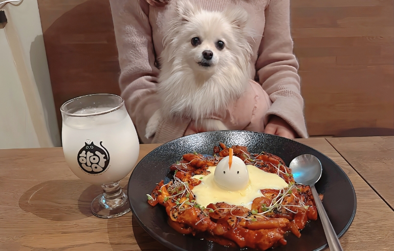 チーズタッカルビとゆめちゃん