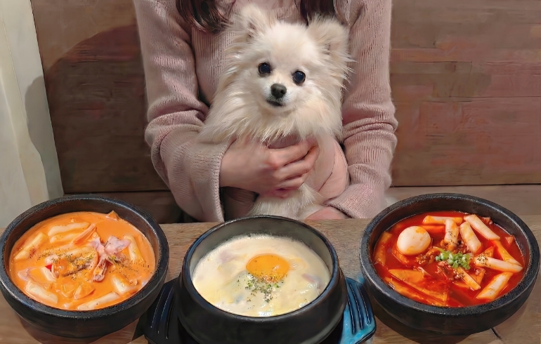 3種のトッポギとゆめちゃん