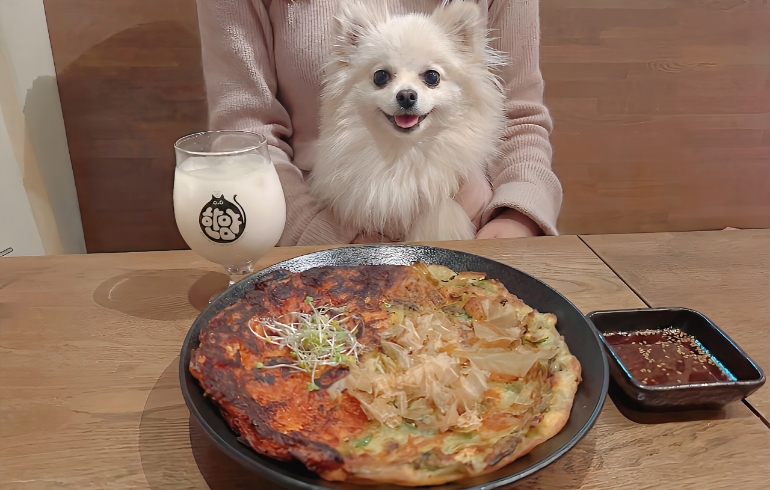 チヂミとゆめちゃん