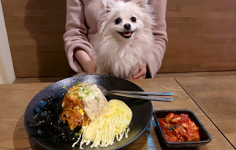 キムチチーズチャーハンとゆめちゃん