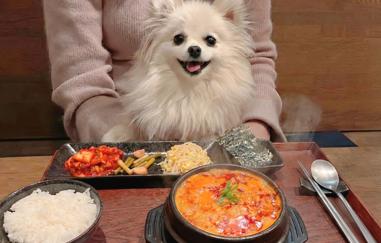 ランチ料理とゆめちゃん