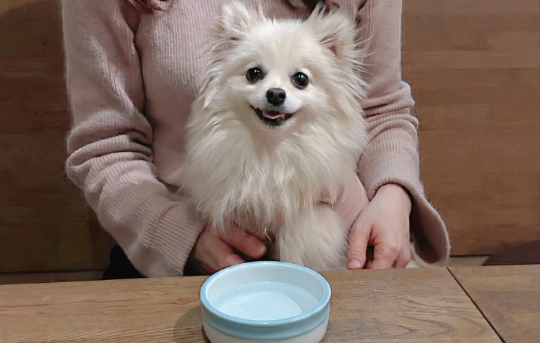 ワンちゃん用のお水サービス