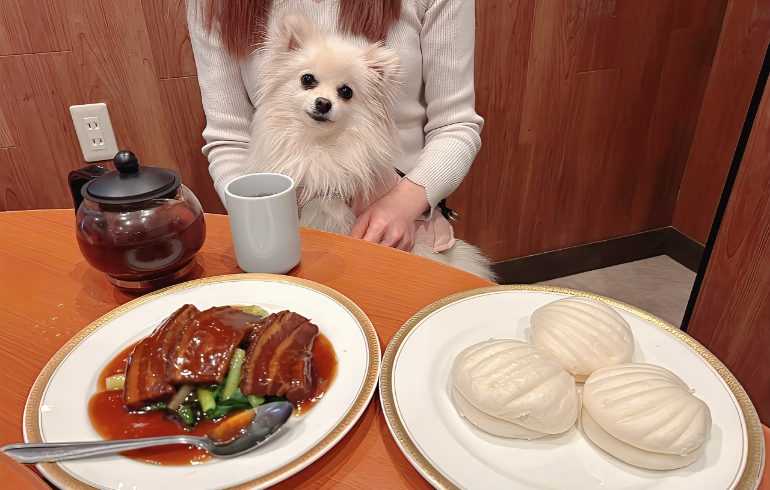 豚バラ肉の醤油煮