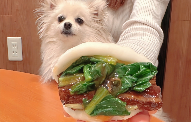 豚バラ肉の醤油煮（アップ）