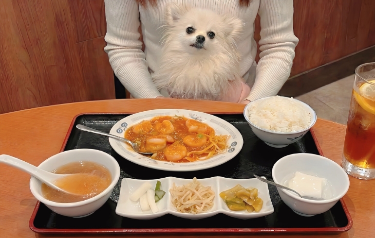 ランチセット