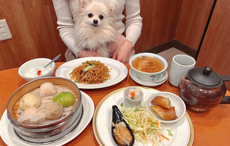 飲茶セット