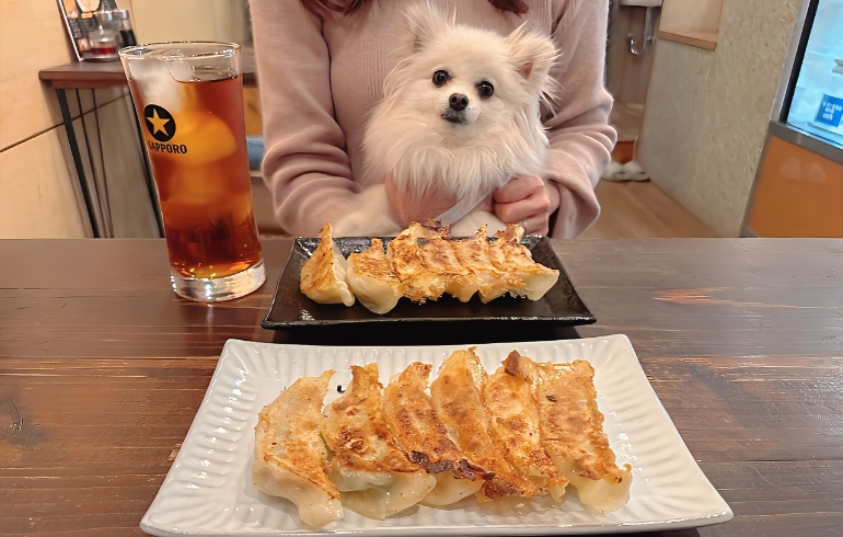 餃子とゆめちゃん