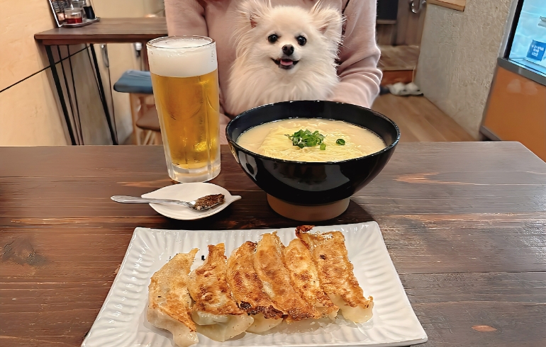 鶏白湯汁そばとゆめちゃん