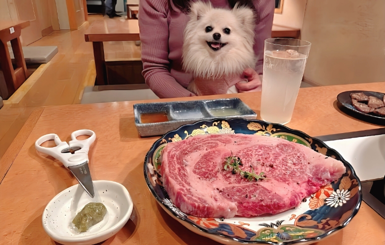 大判リブロースステーキとゆめちゃん