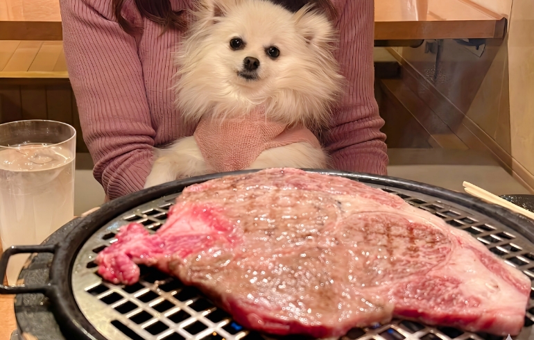大判リブロースステーキ（焼き中）とゆめちゃん