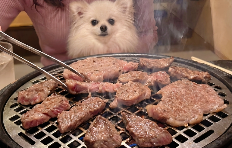 大判リブロースステーキ（焼き中、部位ごとに小分け後）とゆめちゃん