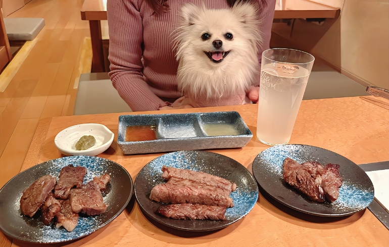 大判リブロースステーキ（焼き後、カット後）とゆめちゃん