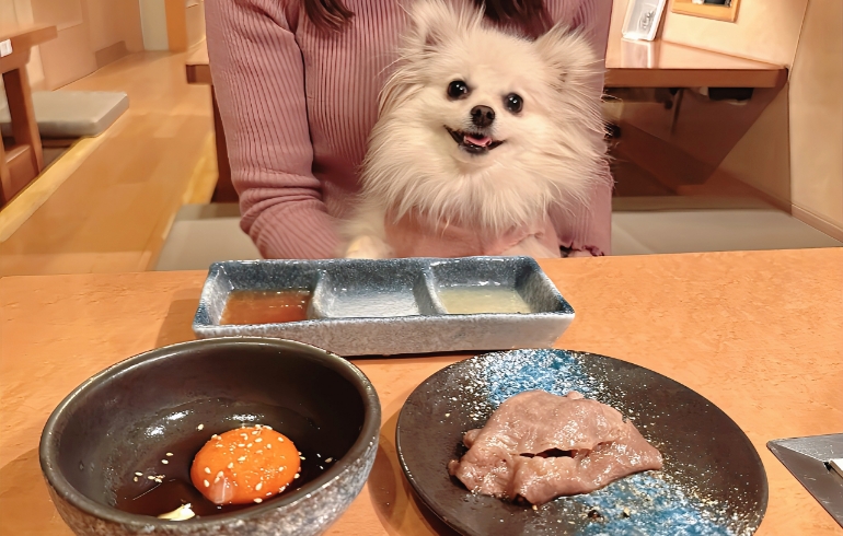 黒毛和牛焼きしゃぶ（焼き後）と生卵とゆめちゃん